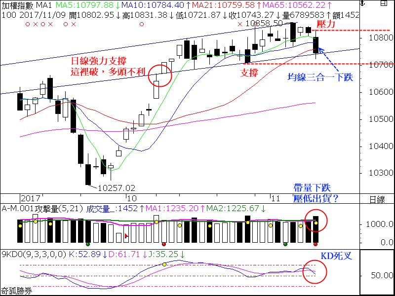 圖檔